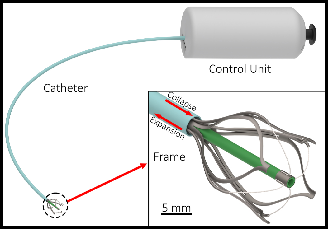 Professor Ali Tavallaei stands outside on a sunny day wearing a light grey suit and black-framed eyeglasses in front of green hedges